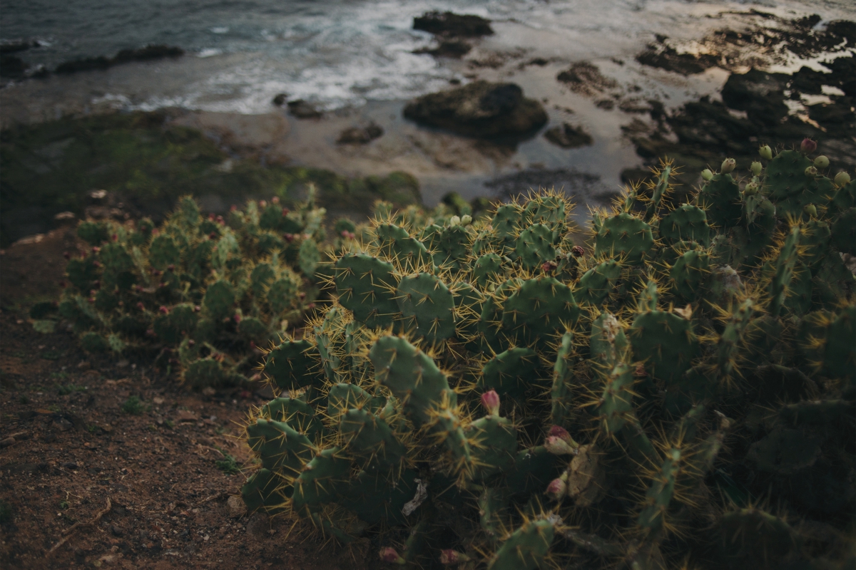 Lanzarote photographer