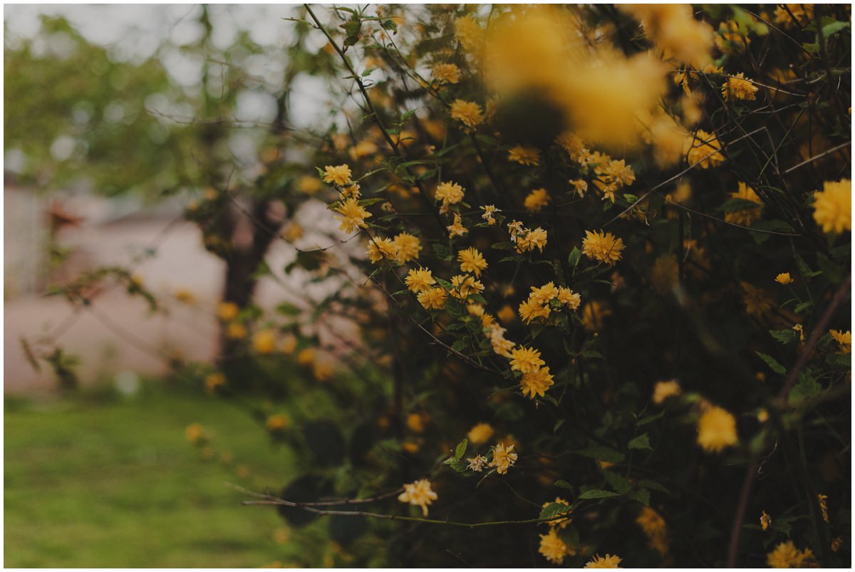 Colstoun House wedding photography