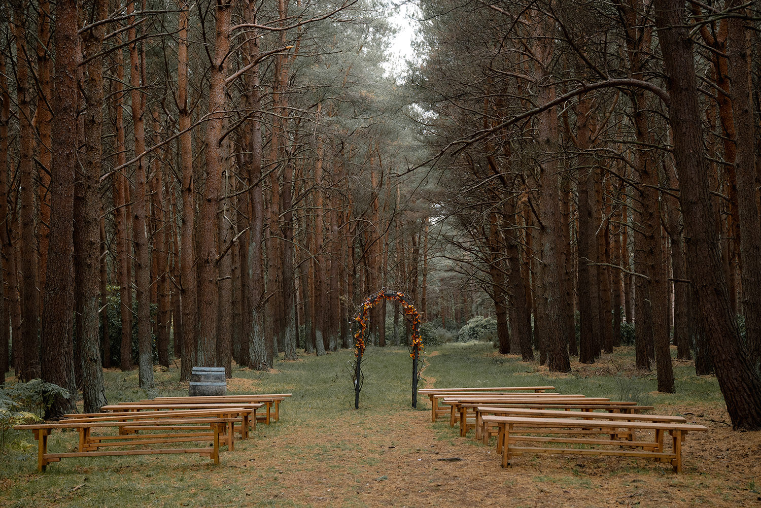 Woodland at the Harvest Moon decorated for the wedding. 