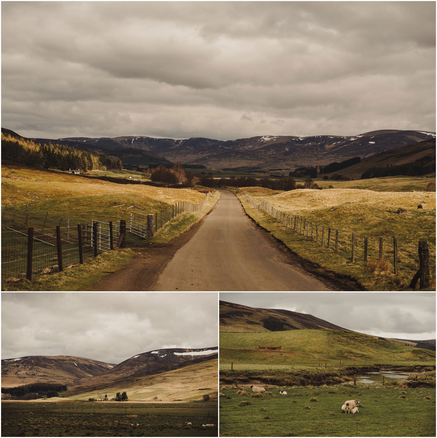 wedding photography glen clova hotel