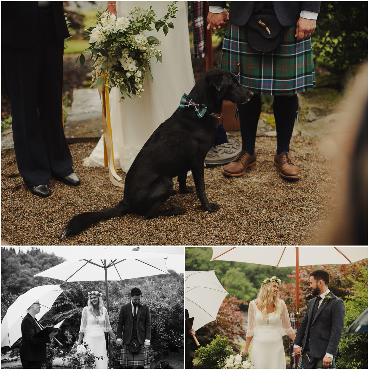 dogs at weddings in scotland