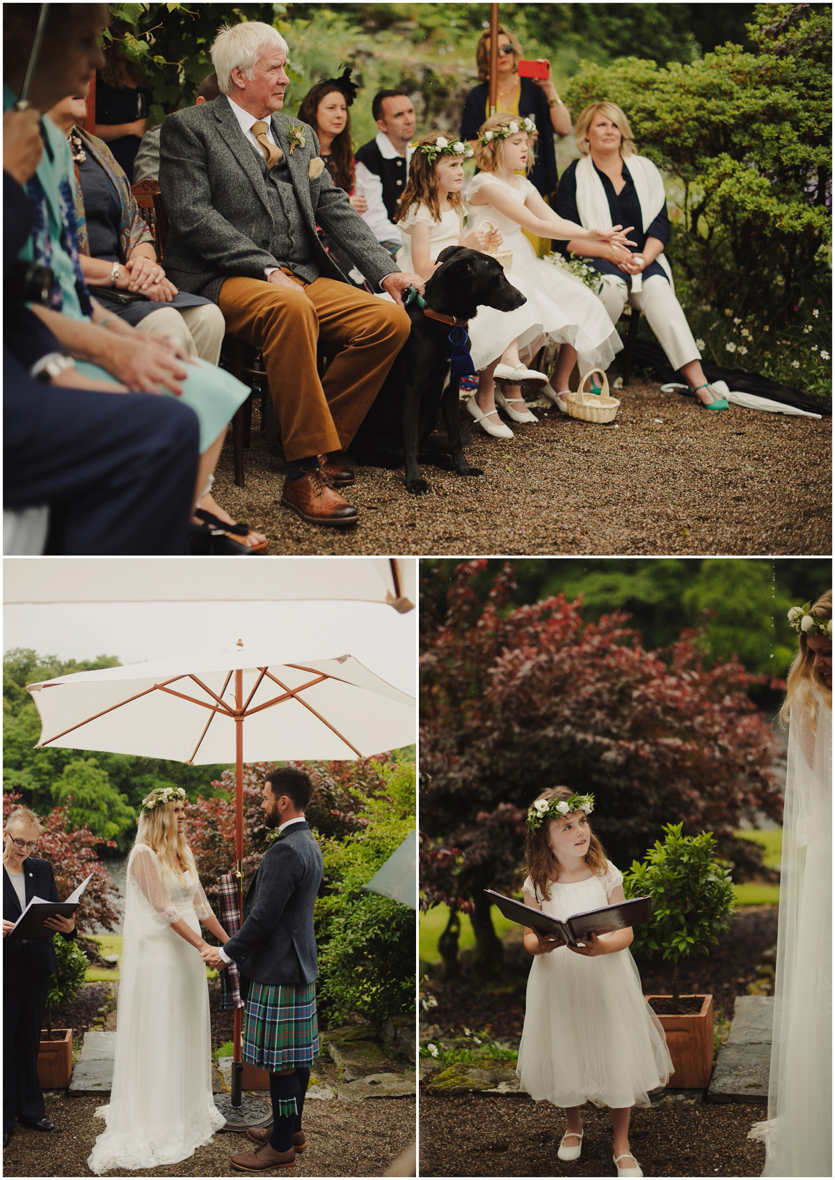 wedding ceremony and dogs