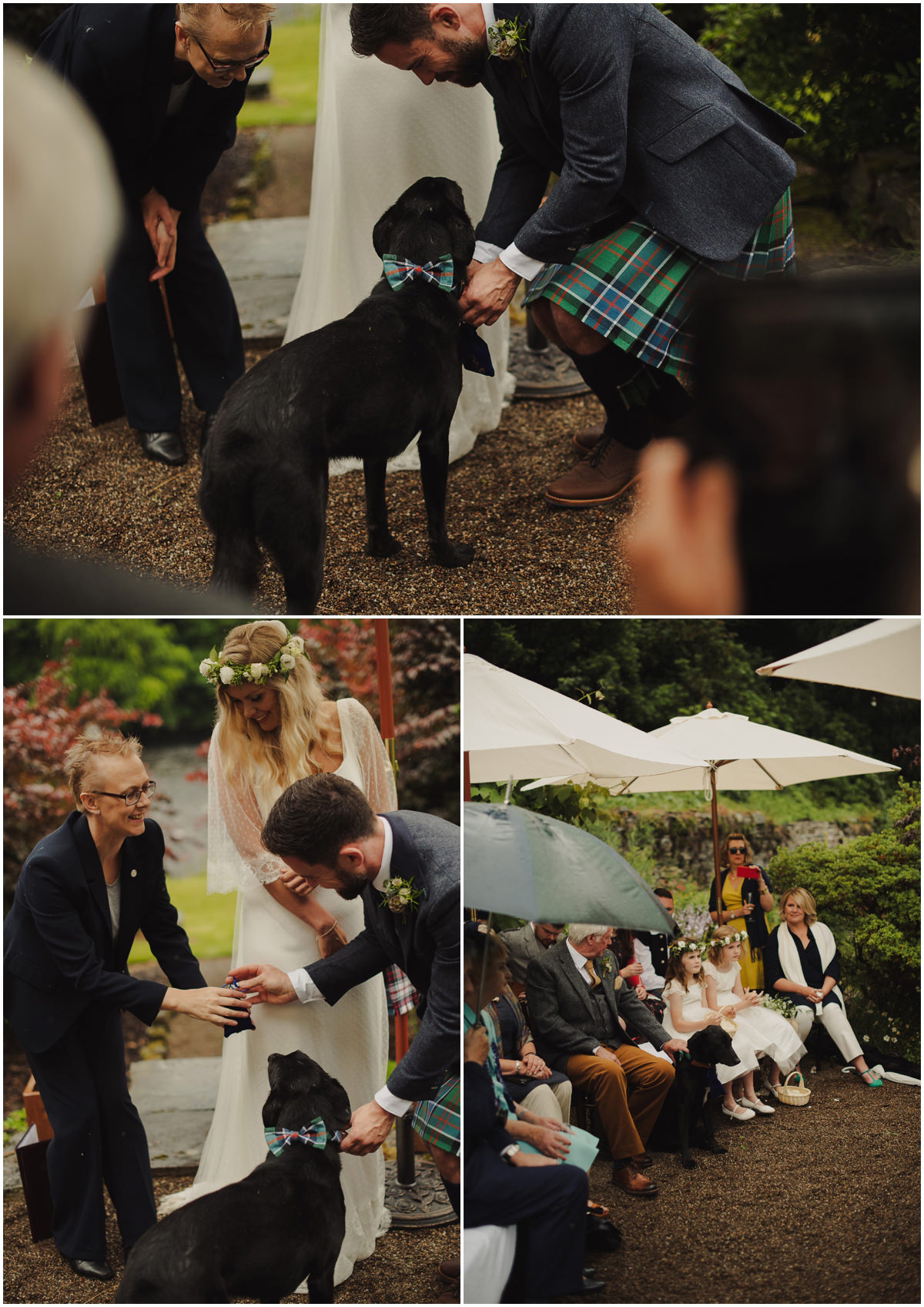 dogs at weddings