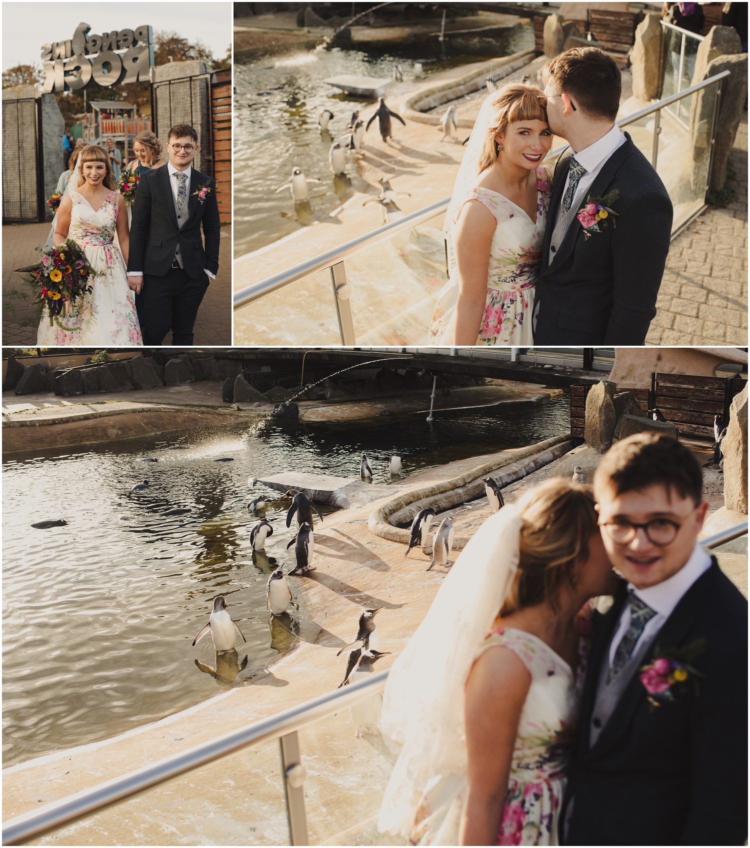 edinburgh zoo wedding shoot with penguins