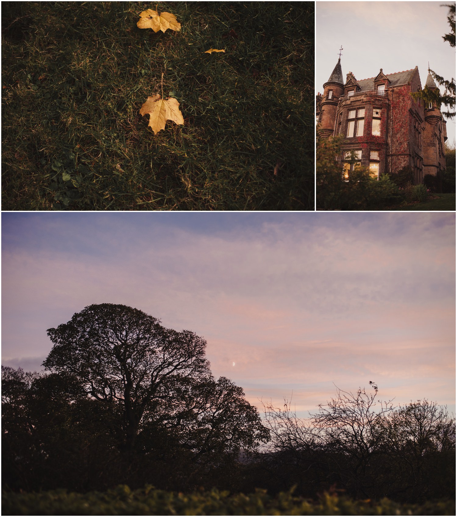evening at the zoo