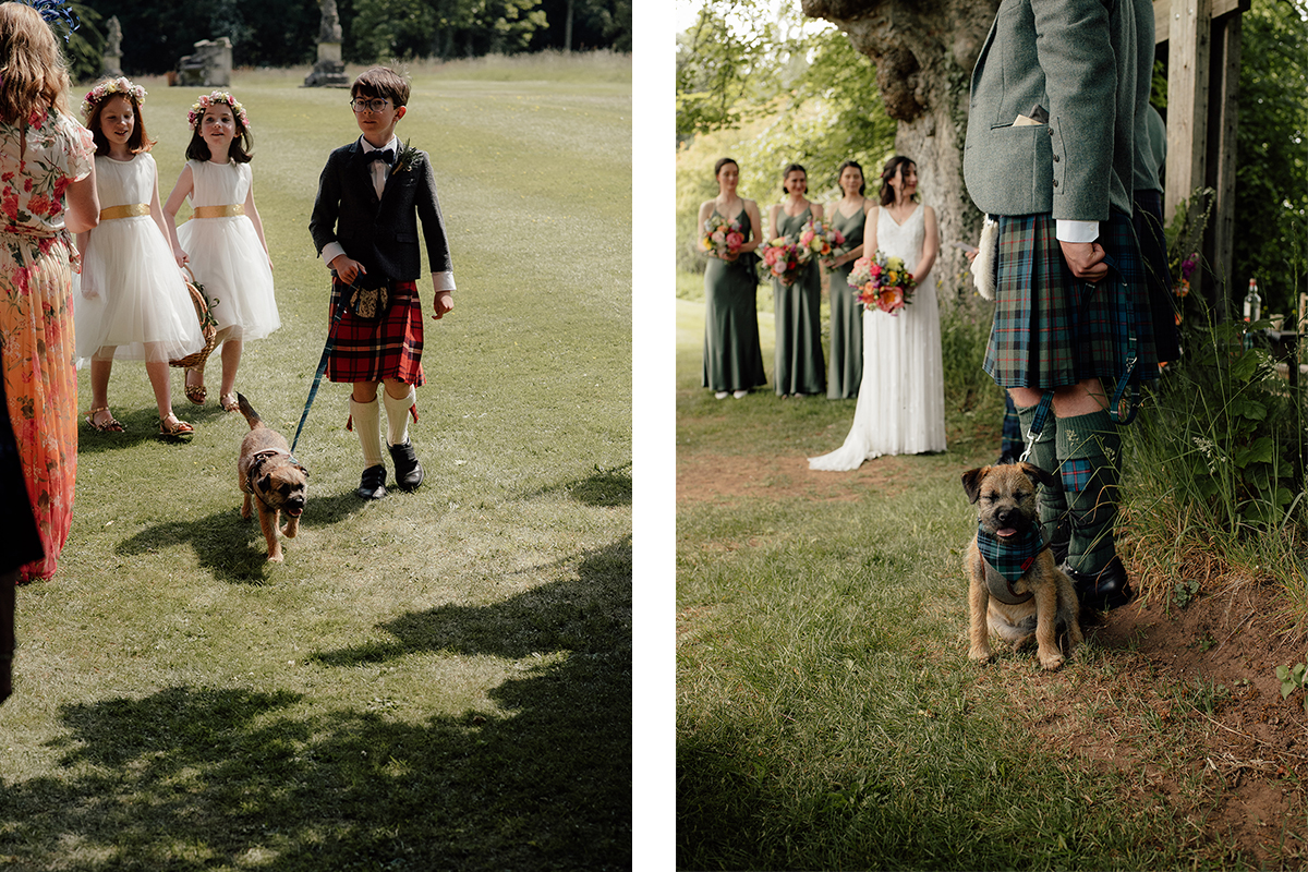 A puppy standing next to the groomsmen at a wedding in Scotland. 