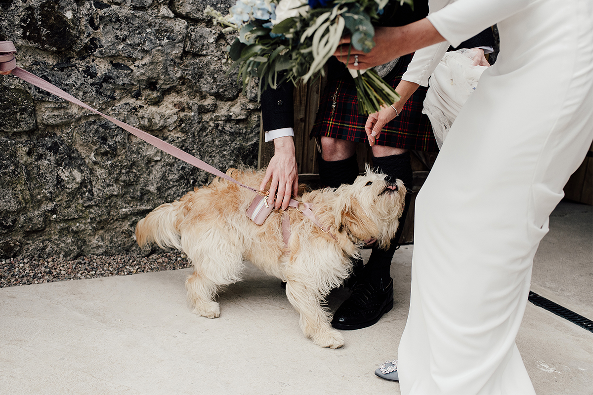 Just married wedding couple saying hello to their dog.