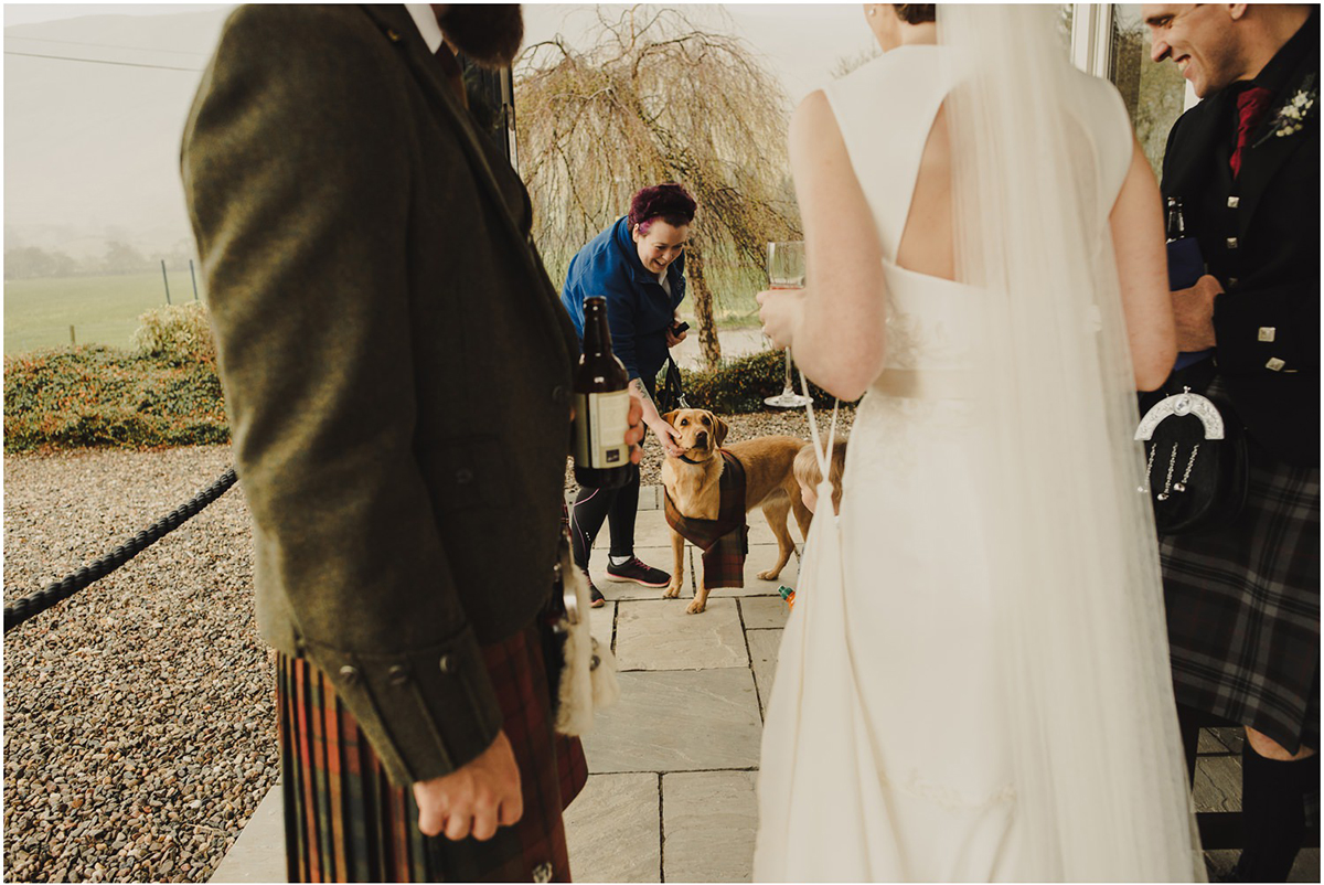 Dog visiting the wedding venue with a pet sitter during a wedding. 