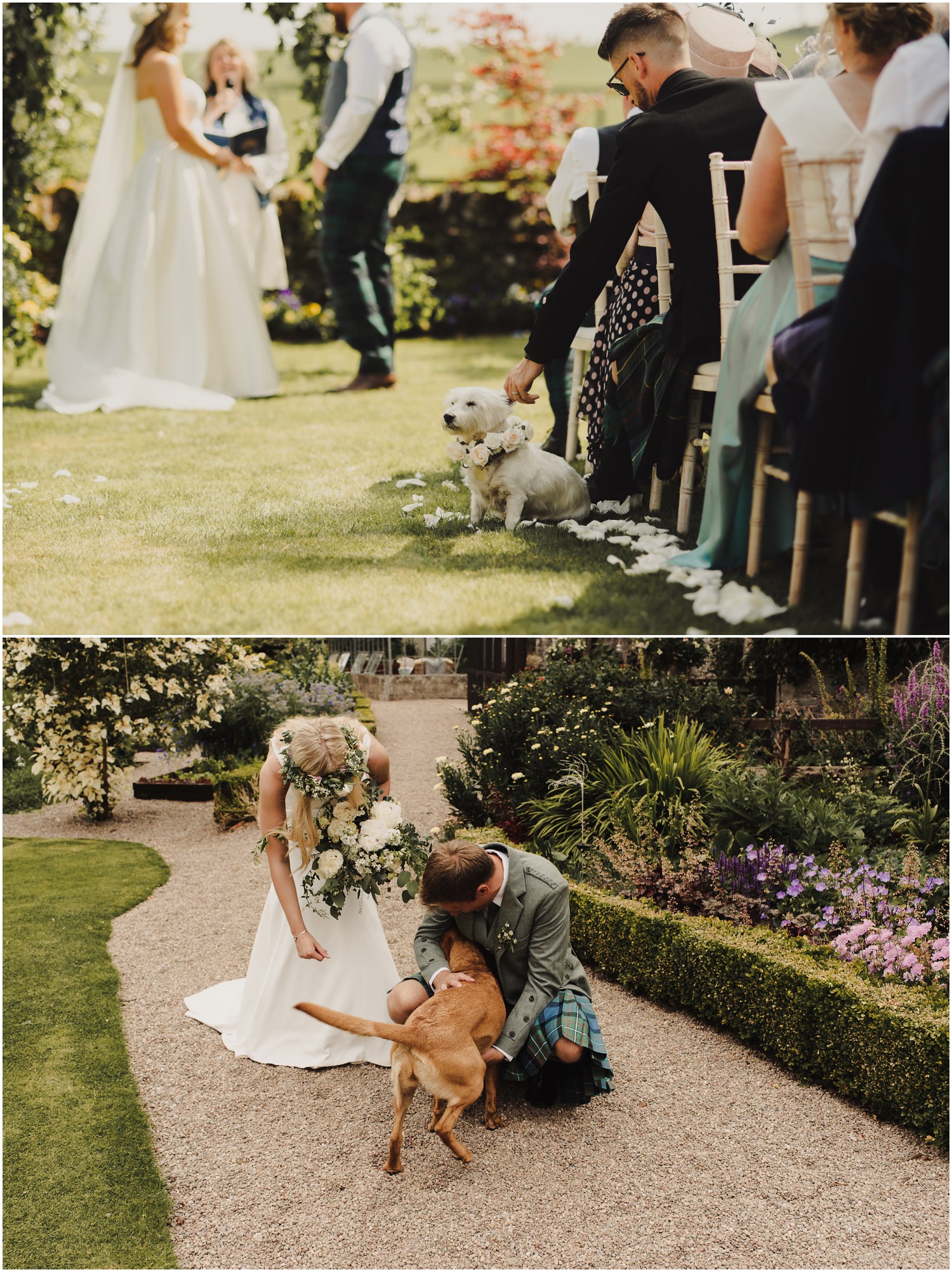 A dog enjoying an outdoor wedding ceremony in the Scottish Borders.