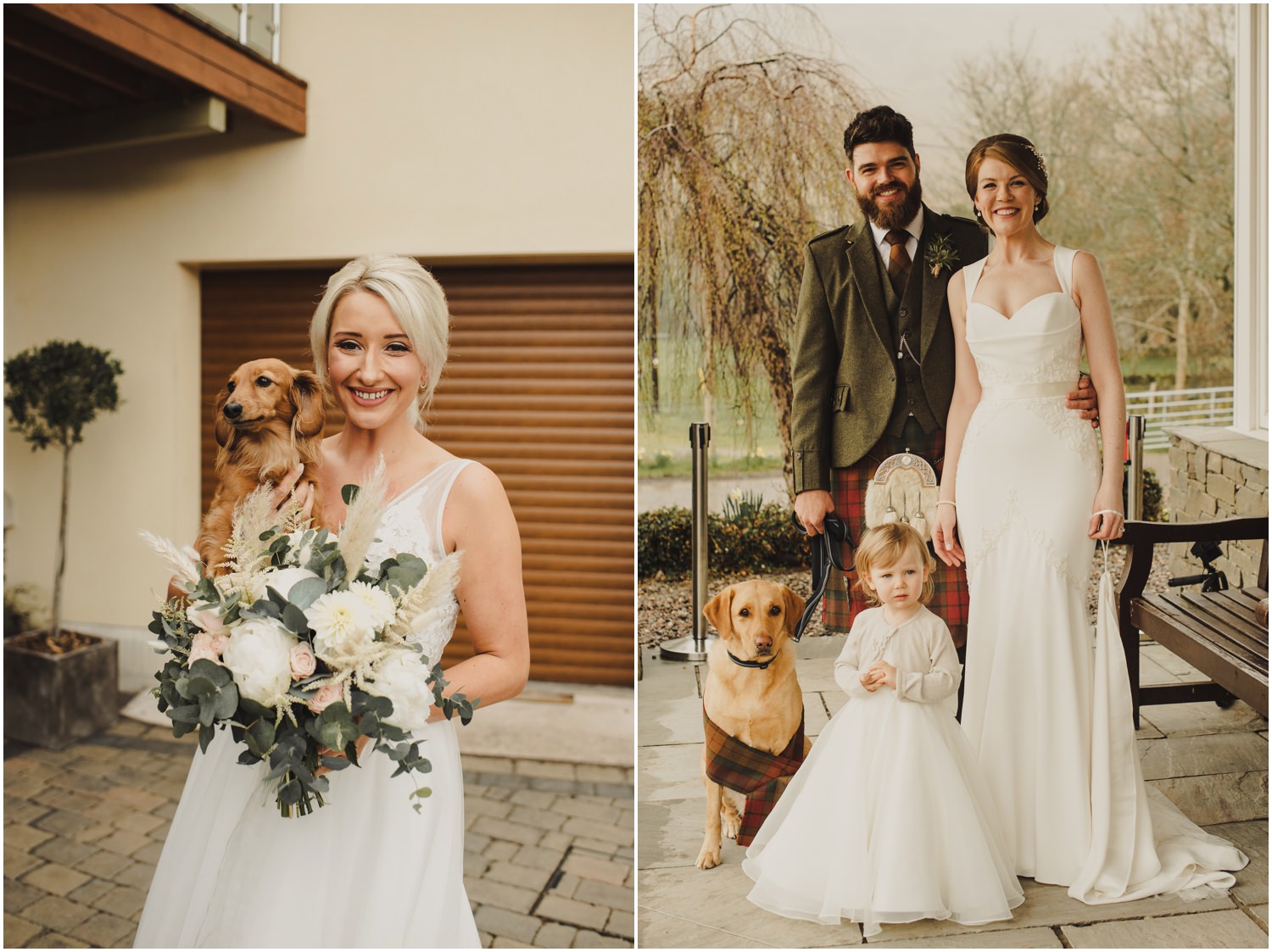 wedding couples and dogs