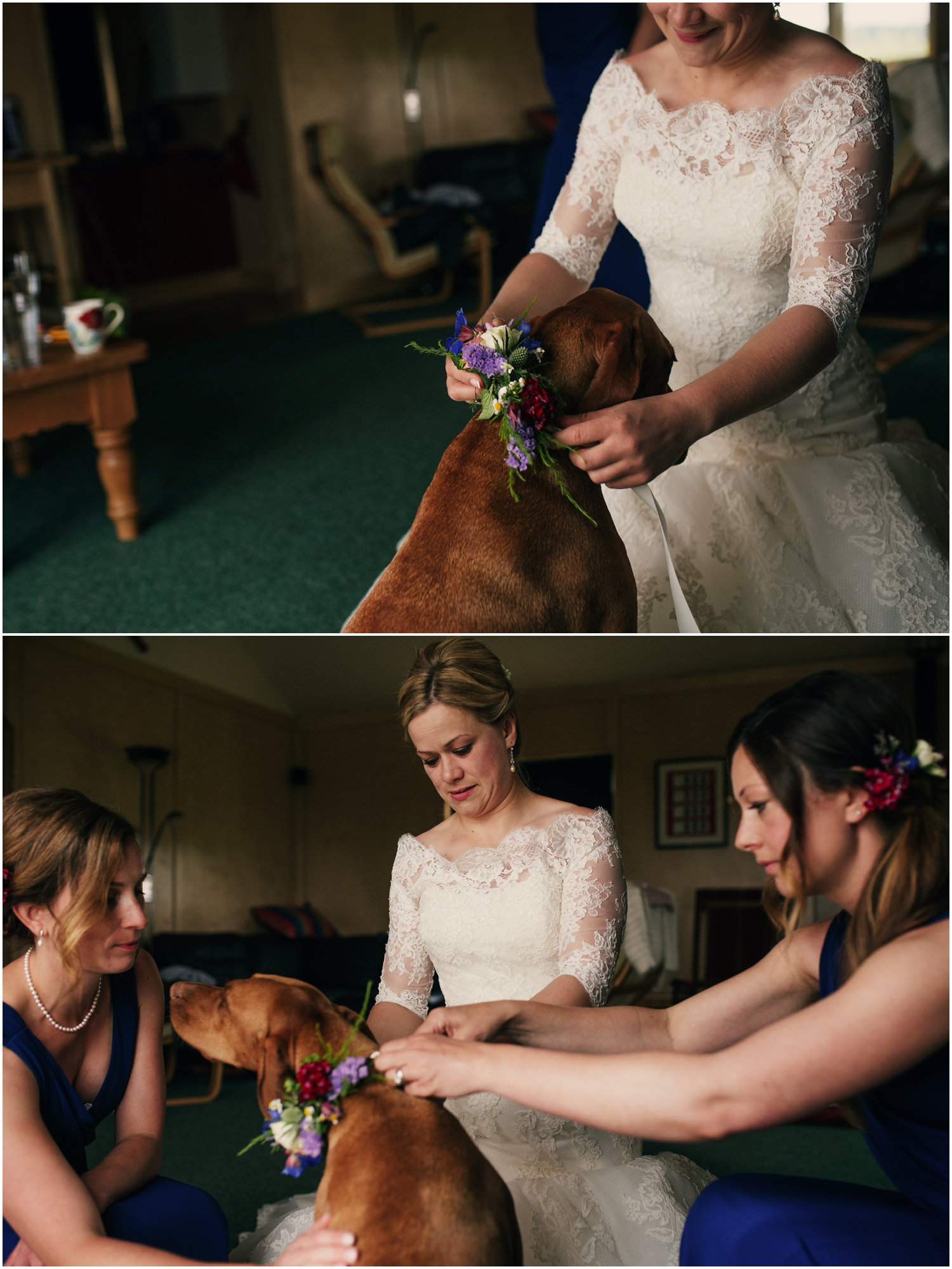 dogs floral collar wedding