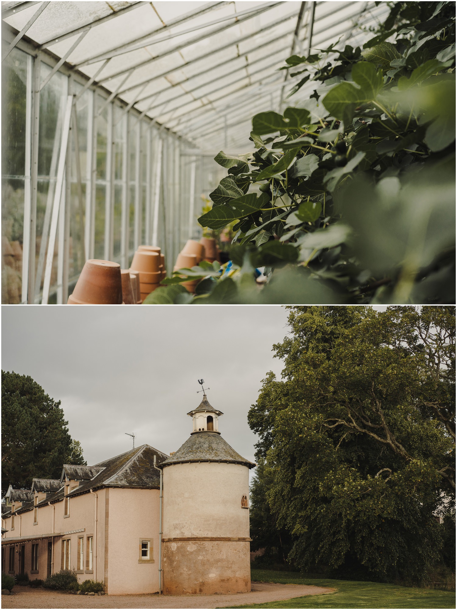 greenhouse wedding reception