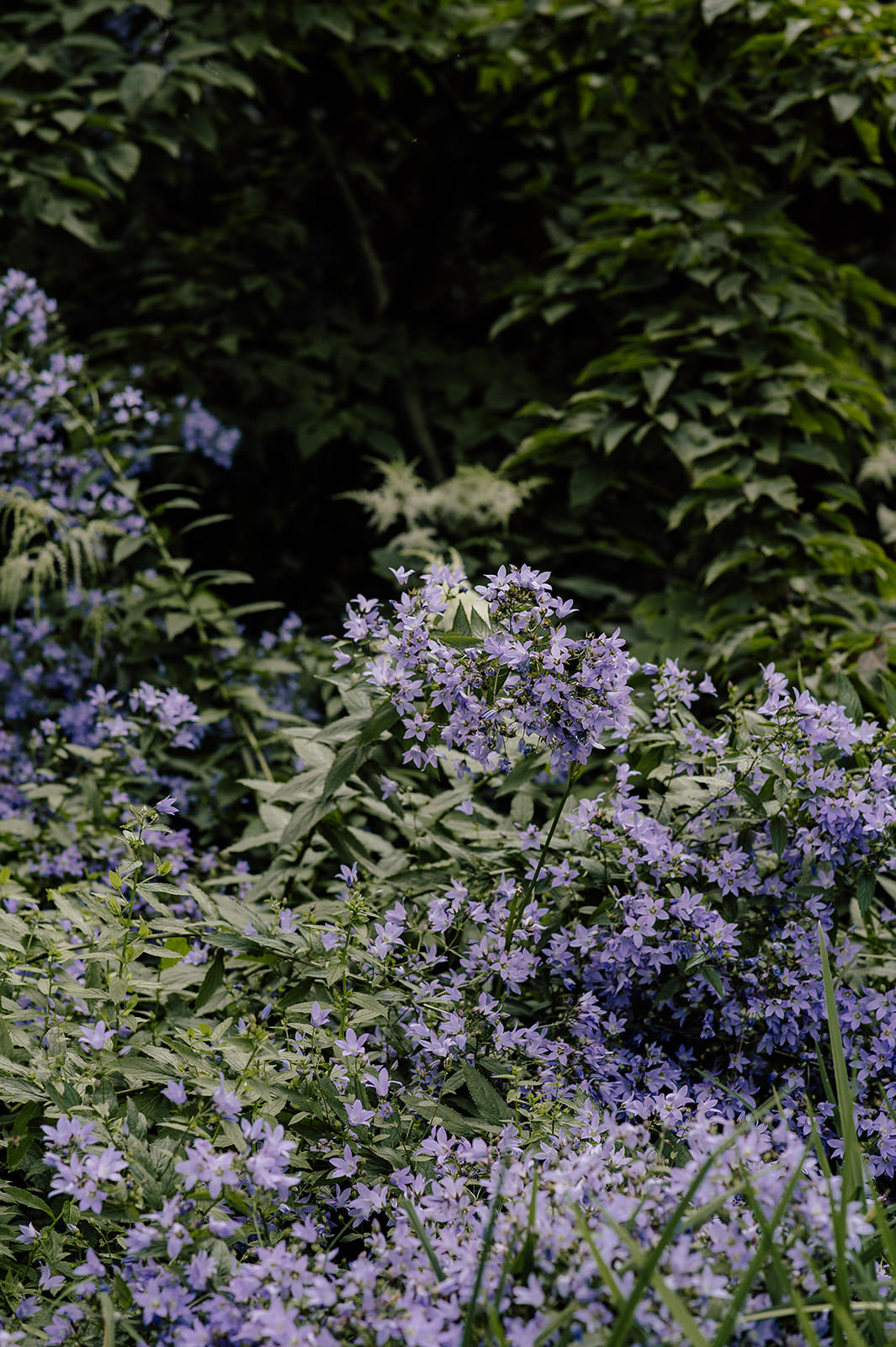 Scotland wedding photographer captures wedding photos at the Royal Botanic Gardens in Edinburgh.