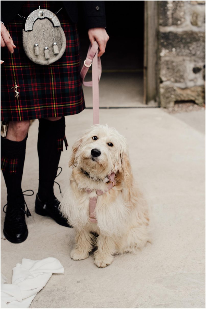 Dog friendly wedding venue near Glasgow and Evie, the special wedding guest.