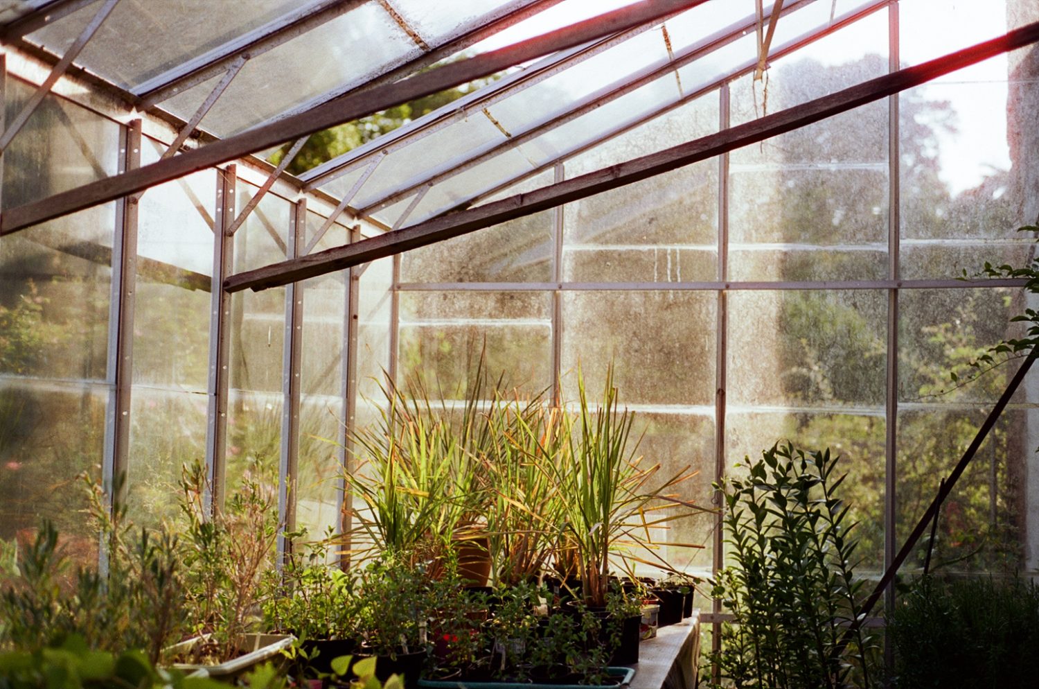 Light captured in the glasshouse at the Colstoun House in Scotland.